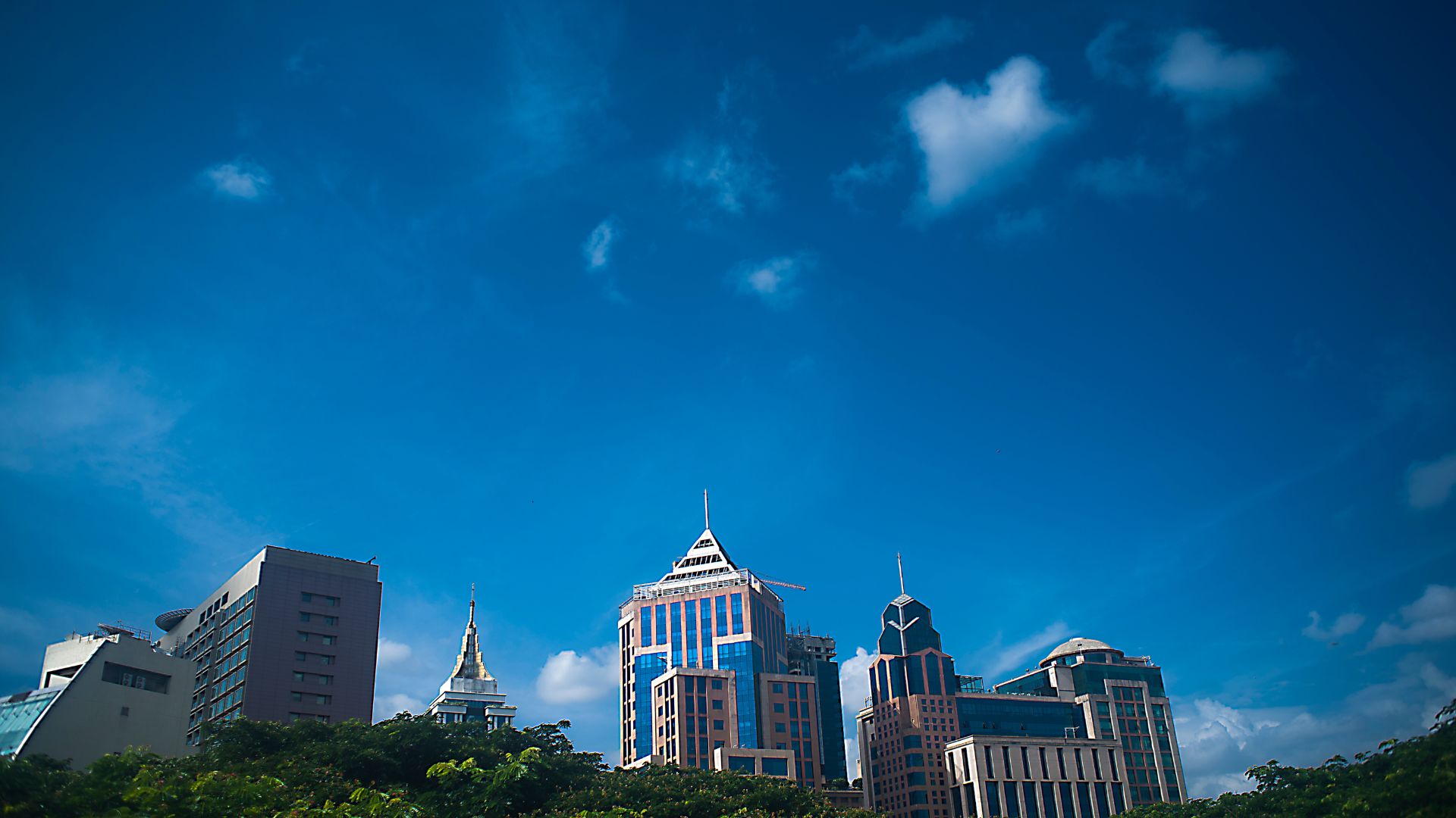 Aroli Real Estate Portfolio Management Solutions